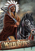 Wild Guns Poster